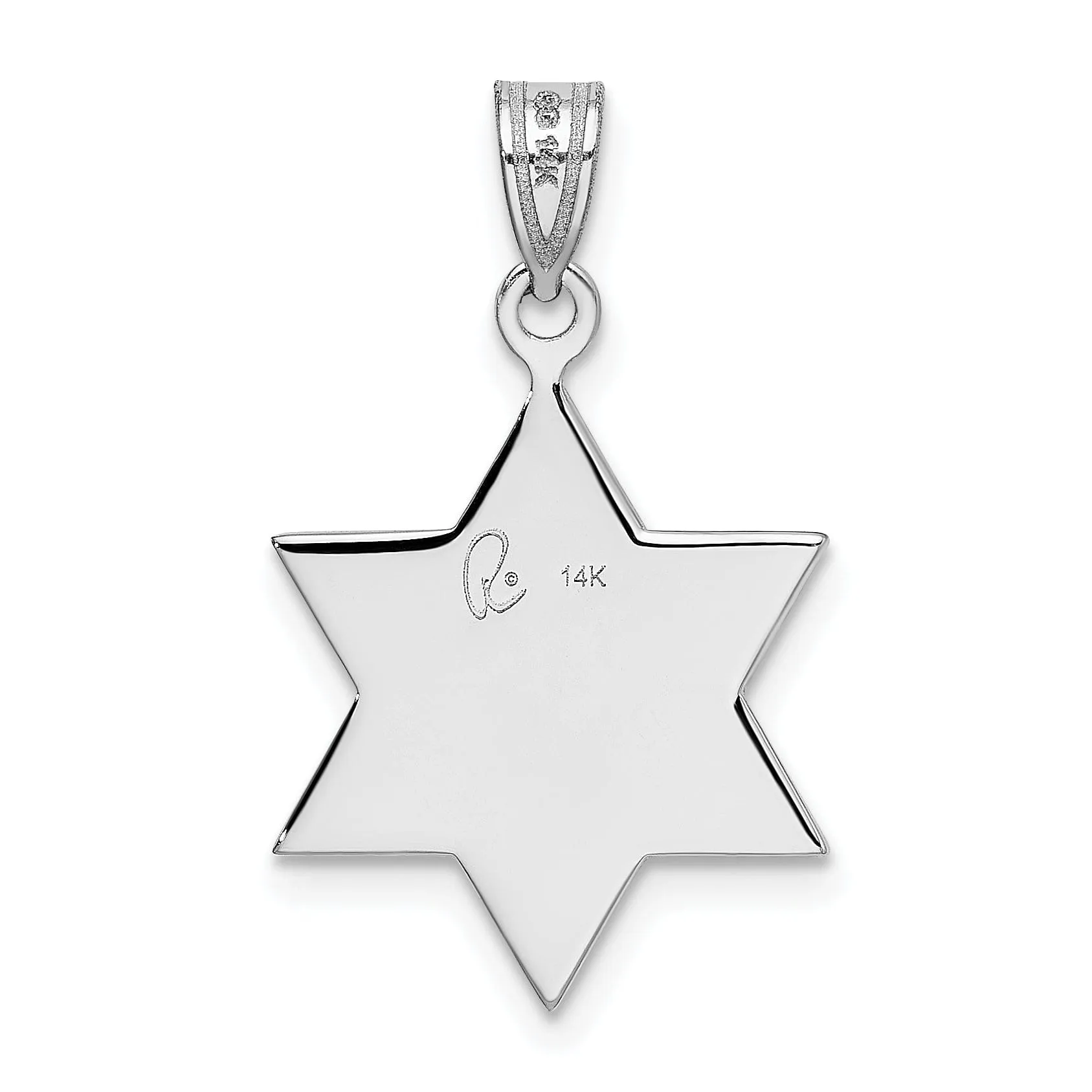 14K White Gold Polished Satin Finish Flat Back Star of David Pendant