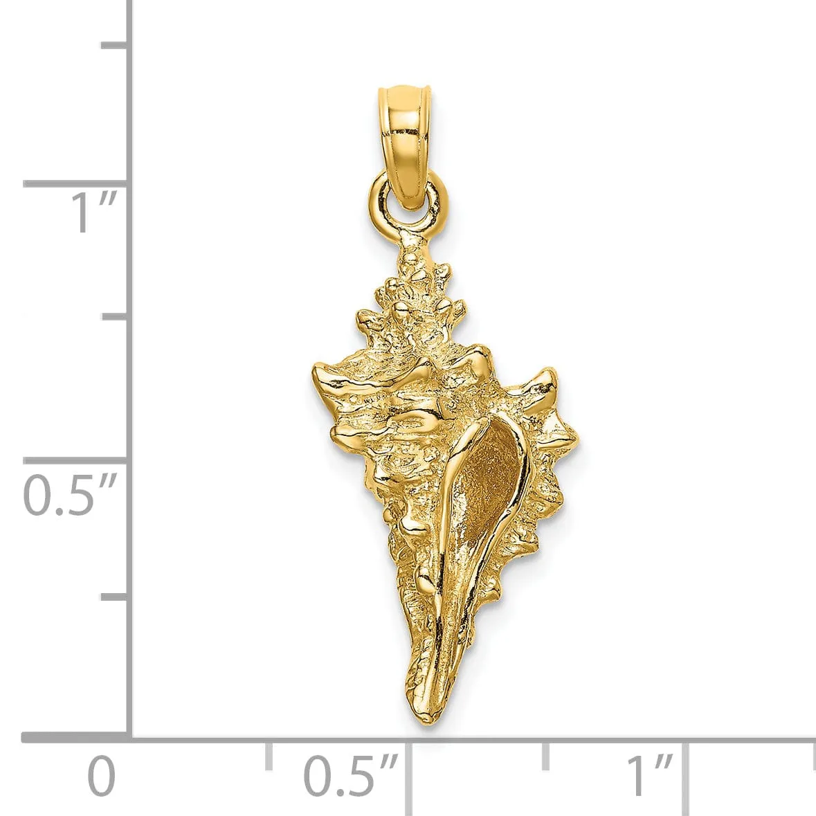 14K Yellow Gold  3-Dimensional Texture Polished Finish Conch Shell Charm Pendant