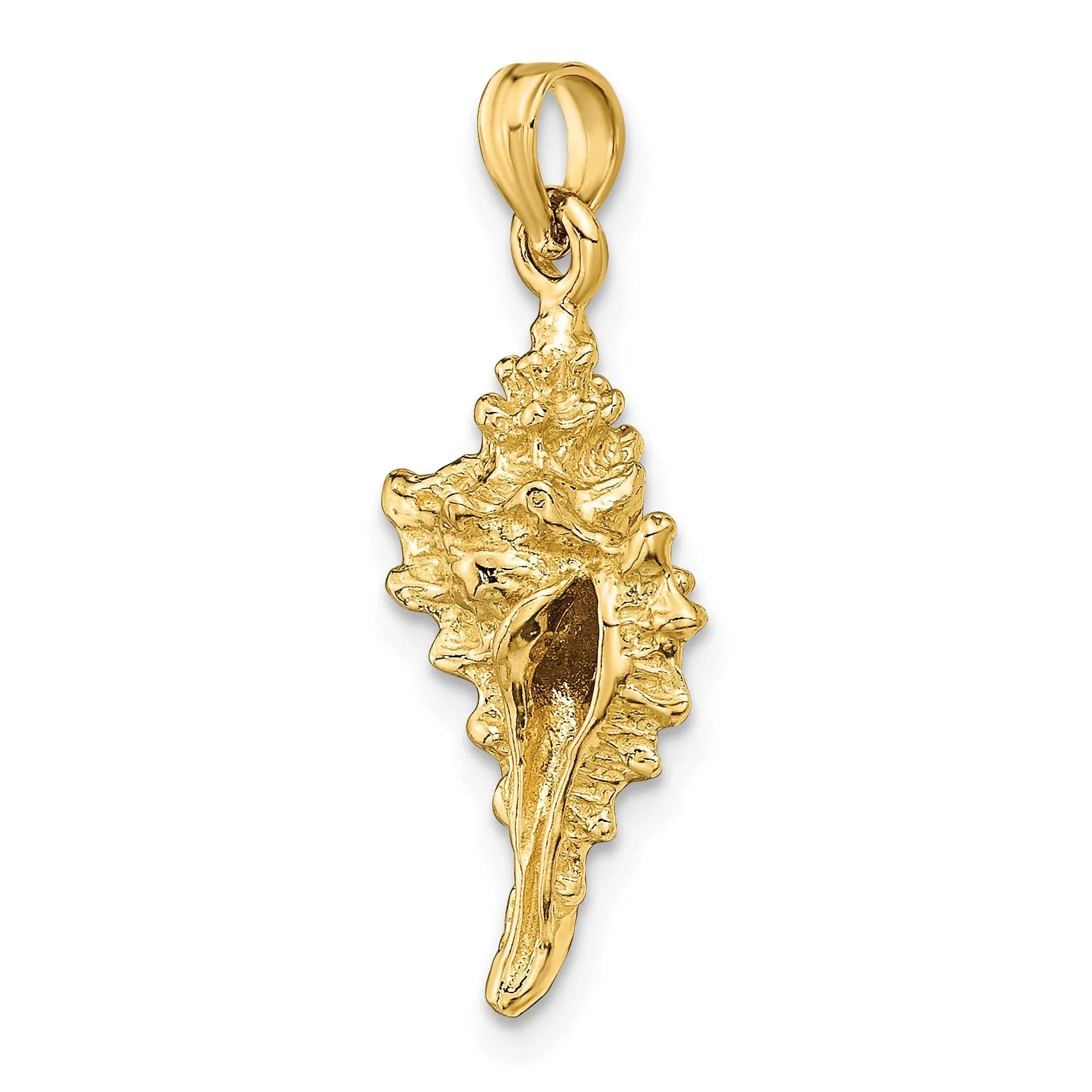 14K Yellow Gold  3-Dimensional Texture Polished Finish Conch Shell Charm Pendant