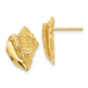 14k Yellow Gold Conch Shell Earrings