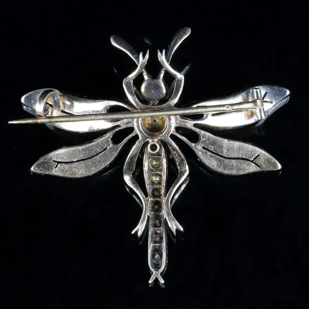 Antique Victorian Paste Dragonfly Brooch Circa 1860 French