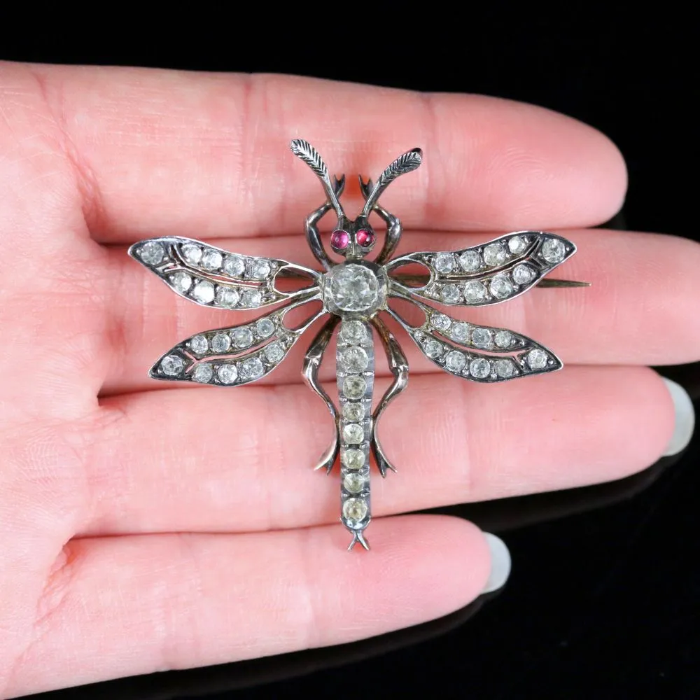 Antique Victorian Paste Dragonfly Brooch Circa 1860 French