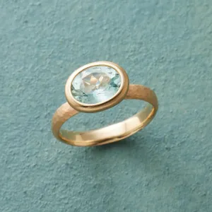 Aqua Afloat Ring