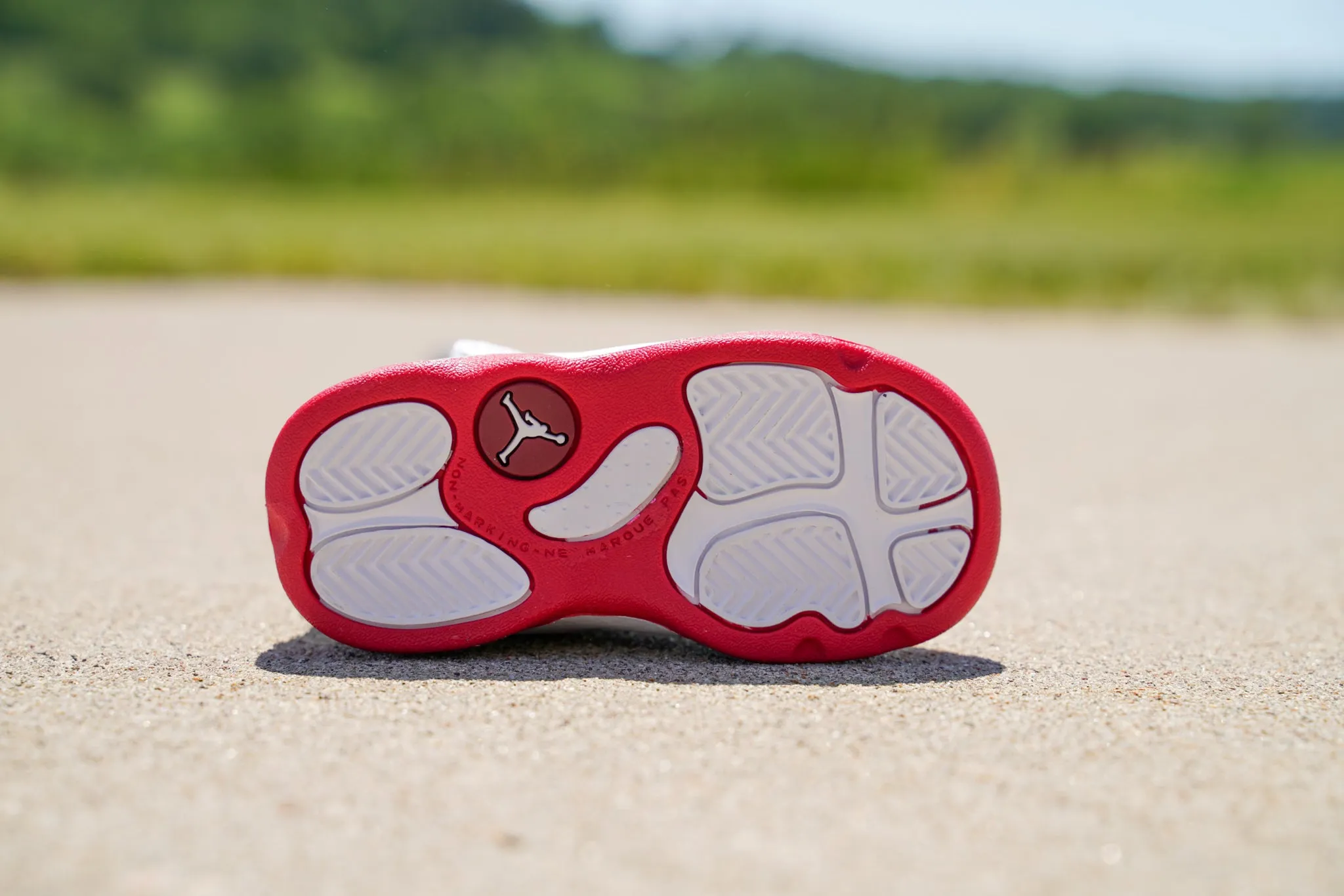 Jordan 6 Rings [MYSTIC HIBISCUS] Standing Sneaker Putter Cover