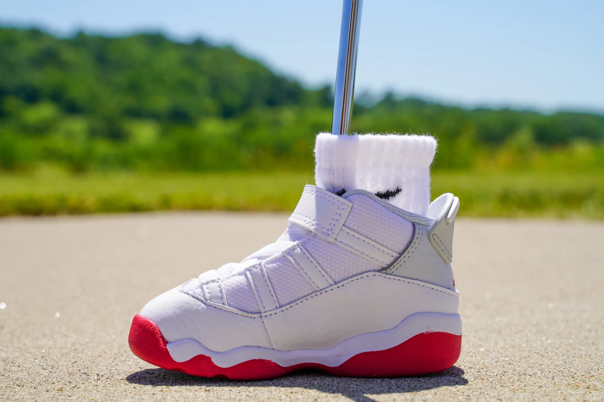 Jordan 6 Rings [MYSTIC HIBISCUS] Standing Sneaker Putter Cover