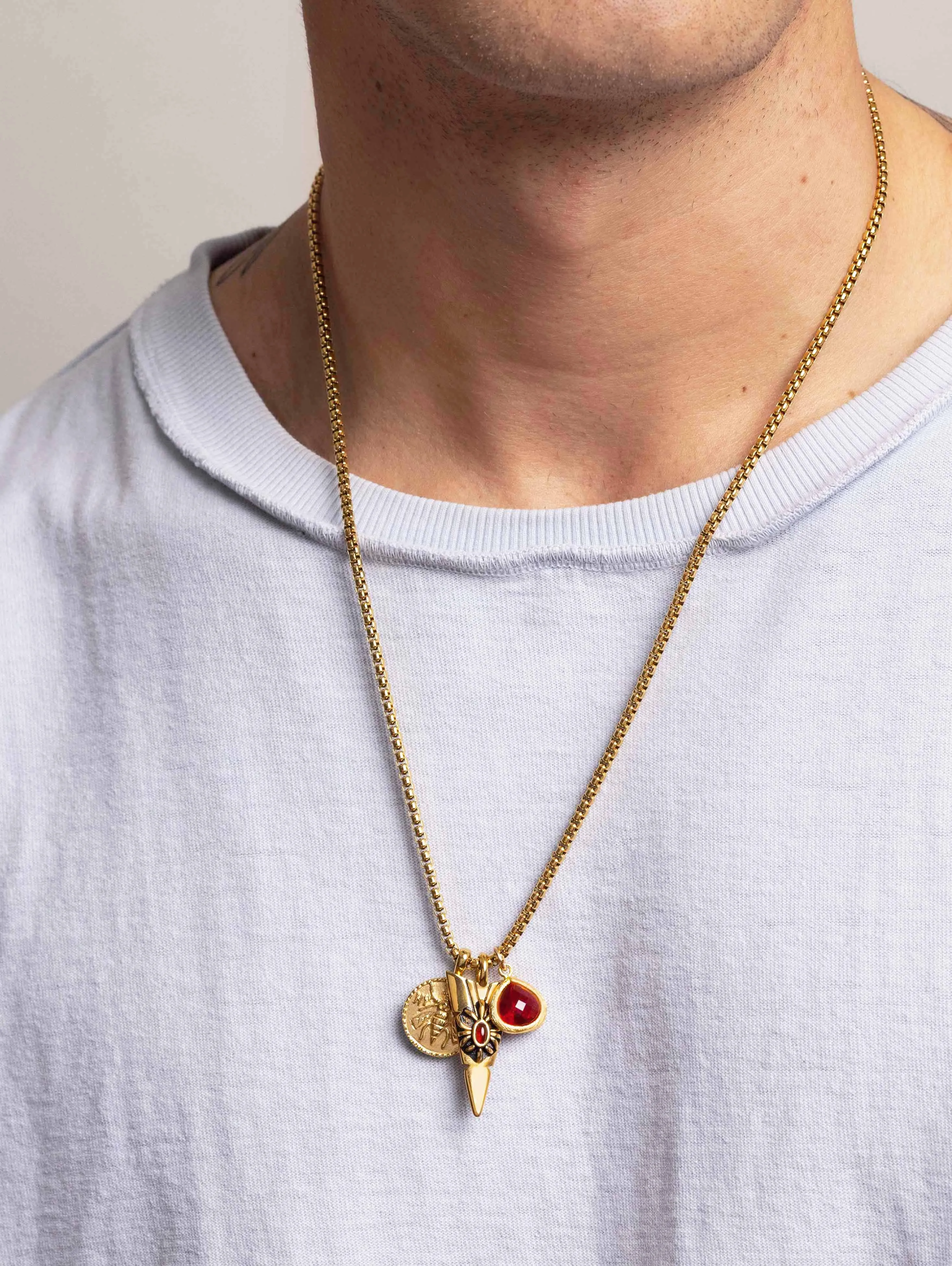 Men's Golden Talisman Necklace with Arrowhead, Red Ruby CZ Drop and Bee Pendant